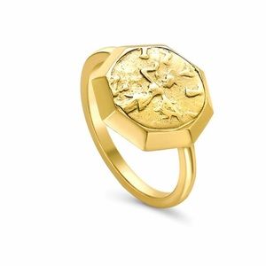 Missoma x Lucy Williams Gold Octagon Coin Ring